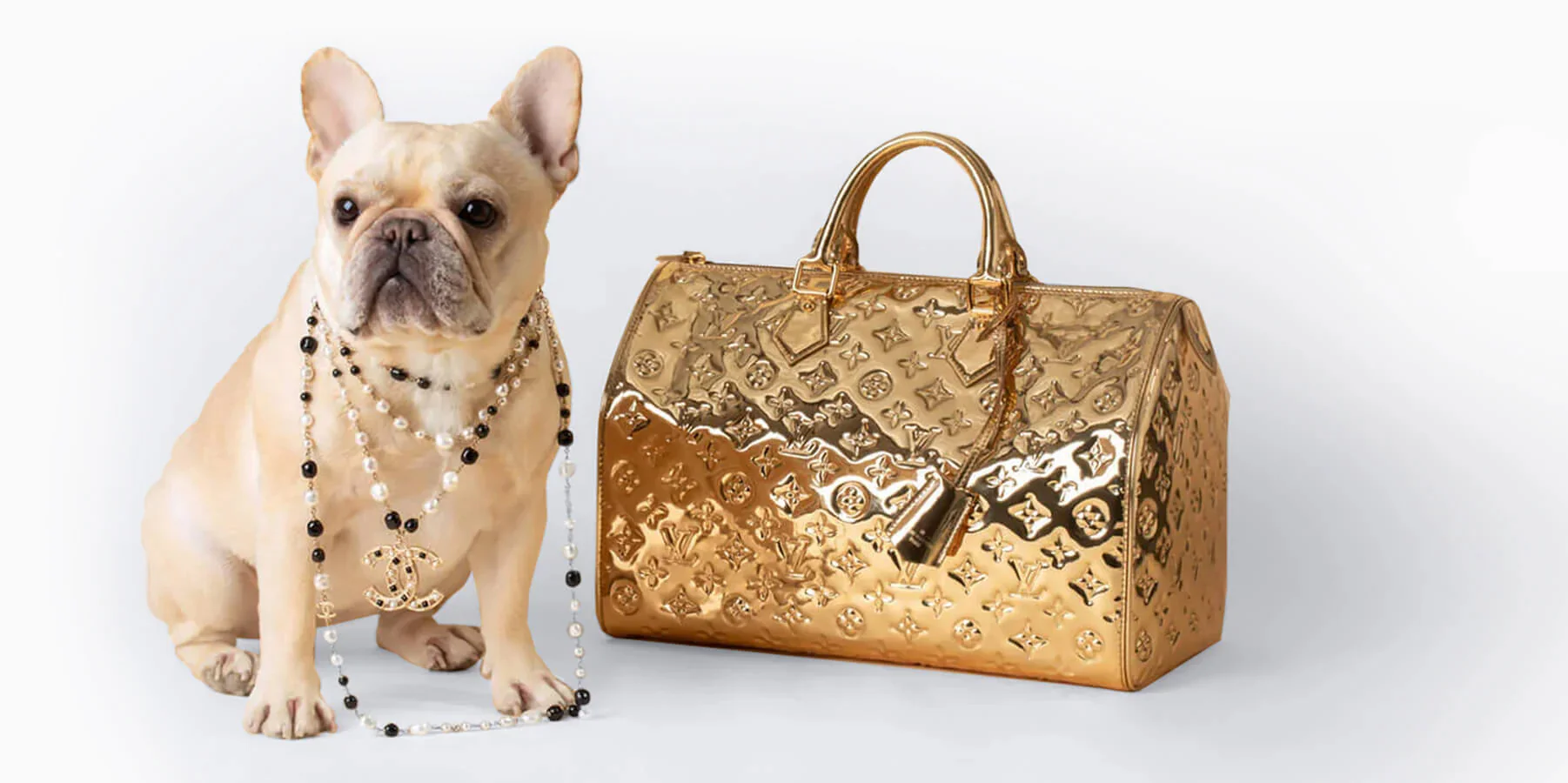 Welcome to Our Store